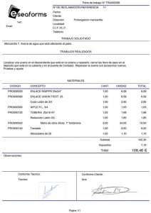 Plantilla Partes de Trabajo